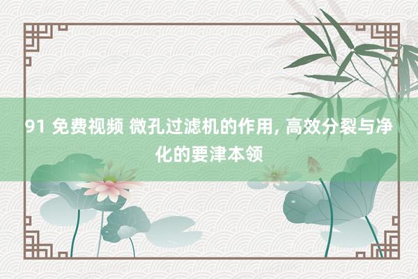 91 免费视频 微孔过滤机的作用， 高效分裂与净化的要津本领