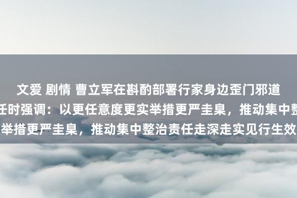 文爱 剧情 曹立军在斟酌部署行家身边歪门邪道和陷落问题集中整治责任时强调：以更任意度更实举措更严圭臬，推动集中整治责任走深走实见行生效