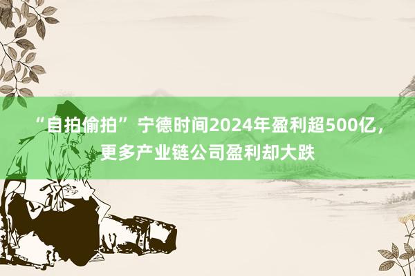 “自拍偷拍” 宁德时间2024年盈利超500亿，更多产业链公司盈利却大跌