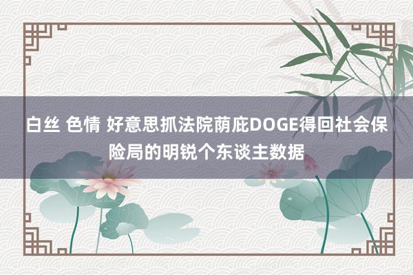 白丝 色情 好意思抓法院荫庇DOGE得回社会保险局的明锐个东谈主数据