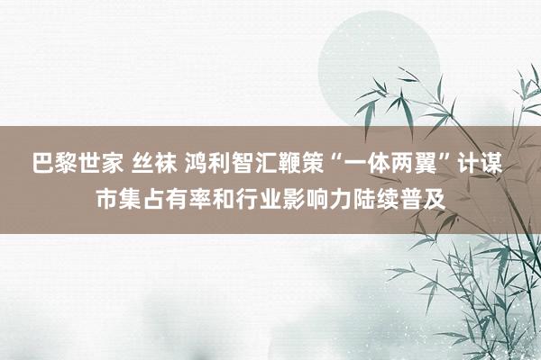 巴黎世家 丝袜 鸿利智汇鞭策“一体两翼”计谋 市集占有率和行业影响力陆续普及