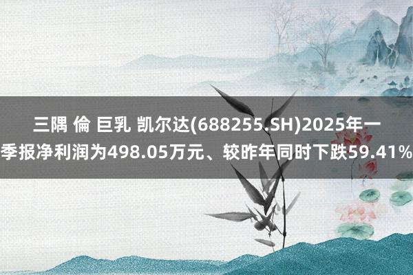 三隅 倫 巨乳 凯尔达(688255.SH)2025年一季报净利润为498.05万元、较昨年同时下跌59.41%