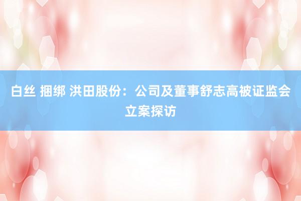 白丝 捆绑 洪田股份：公司及董事舒志高被证监会立案探访