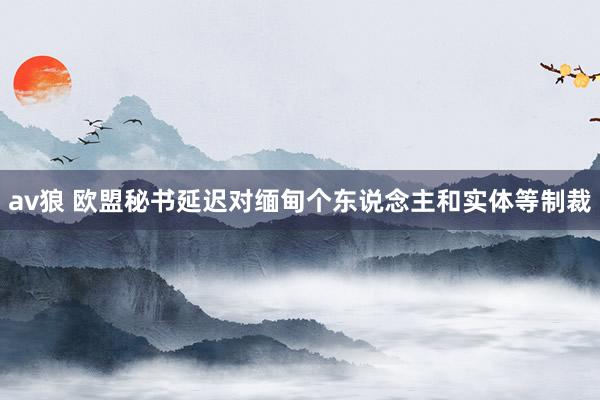 av狼 欧盟秘书延迟对缅甸个东说念主和实体等制裁