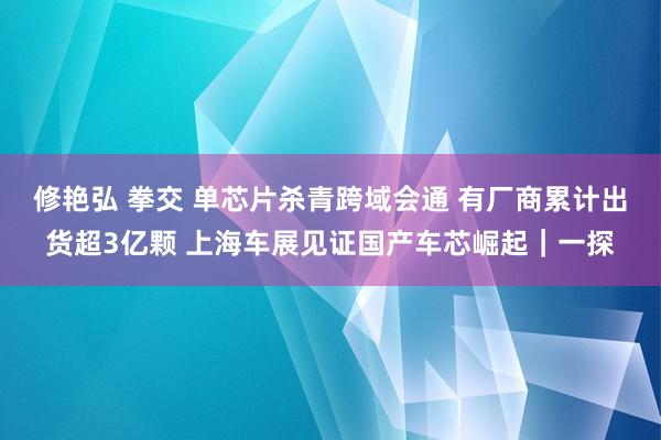 修艳弘 拳交 单芯片杀青跨域会通 有厂商累计出货超3亿颗 上海车展见证国产车芯崛起｜一探
