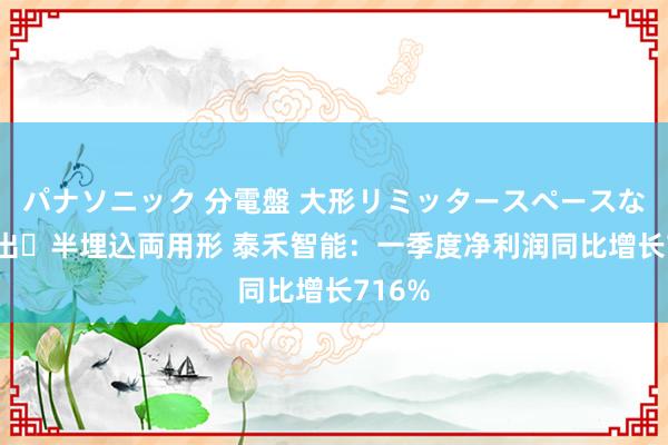 パナソニック 分電盤 大形リミッタースペースなし 露出・半埋込両用形 泰禾智能：一季度净利润同比增长716%