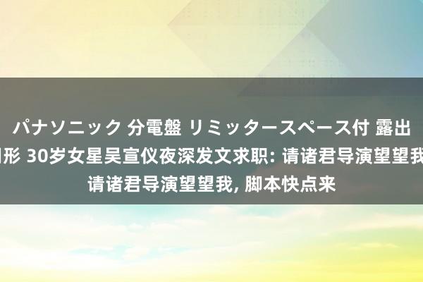 パナソニック 分電盤 リミッタースペース付 露出・半埋込両用形 30岁女星吴宣仪夜深发文求职: 请诸君导演望望我， 脚本快点来