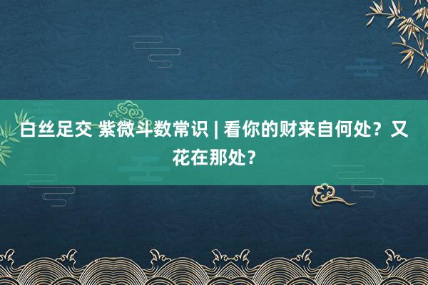 白丝足交 紫微斗数常识 | 看你的财来自何处?又花在那处?