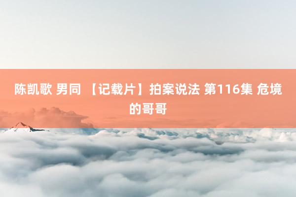 陈凯歌 男同 【记载片】拍案说法 第116集 危境的哥哥