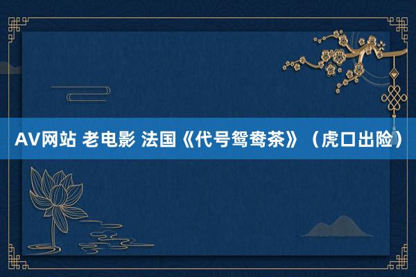 AV网站 老电影 法国《代号鸳鸯茶》（虎口出险）
